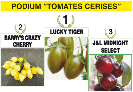 Tomates : 12 variétés incontournables ou insolites - Quitoque