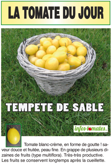 tempete de sable