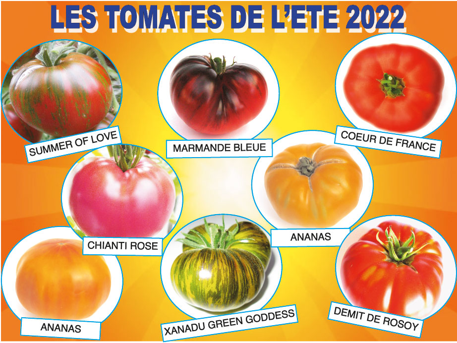 tomates ete 2022