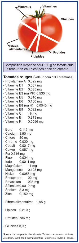 Nutrition. Fibres, vitamines Pourquoi la tomate a tout pour plaire