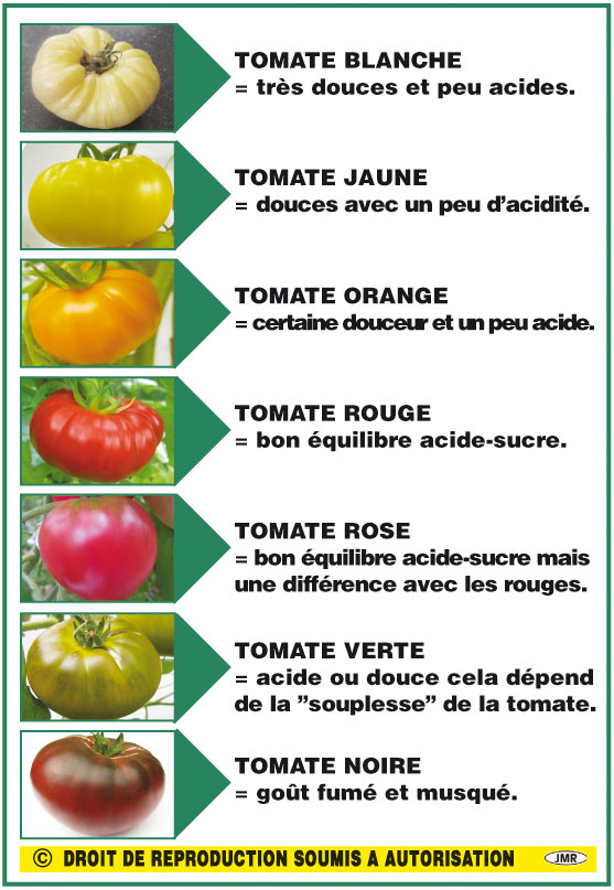 Peut-on utiliser les semences de tomates du supermarché