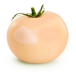 tomato blanche