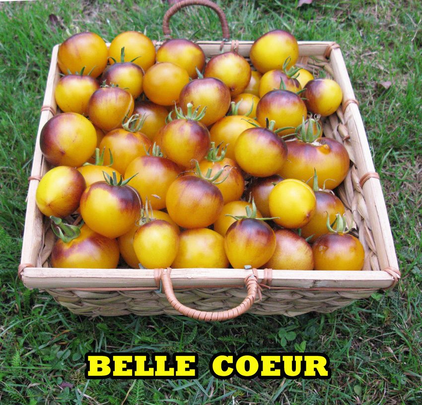 belle coeur