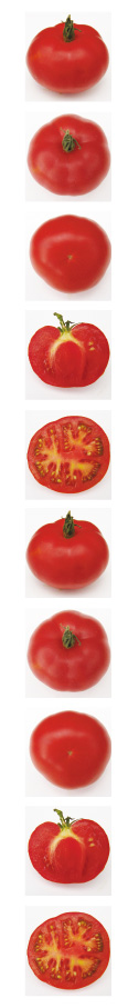 tomate marmande2