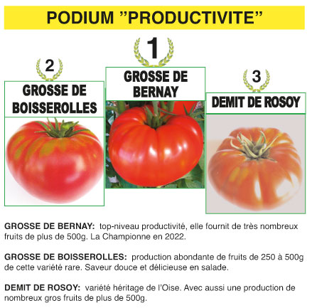 podium productivite