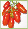 San Marzano